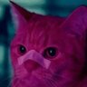 J-BREEZY's profile picture