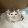 Profilbild von elias
