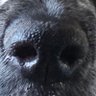 Profilbild von Beacon
