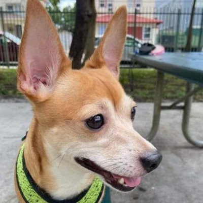 wizzy4521's profile picture