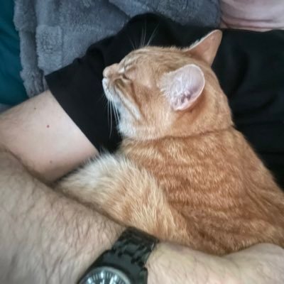 kotia5959's profile picture