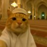 Amal's profile picture