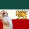 Profilbild von 🇮🇷ساواکی فحاش(نوه ی سکویی)🇮🇷