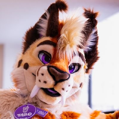 Taro 🔜 AC's profile picture