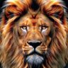 Ali🇸🇦's profile picture