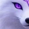 Tamamo profil fotoğrafı