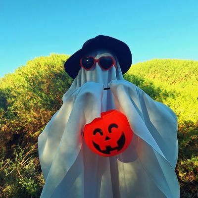 NOE's profile picture