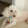 Vanessa profil fotoğrafı