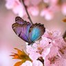 Фото профиля Cely