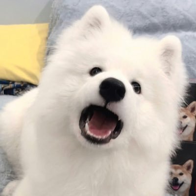 MyDessert33's profile picture