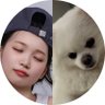 しろのともだちになりたい profil fotoğrafı