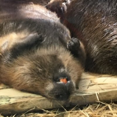 o3157687's profile picture