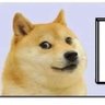 Optimistically Skeptical profil fotoğrafı