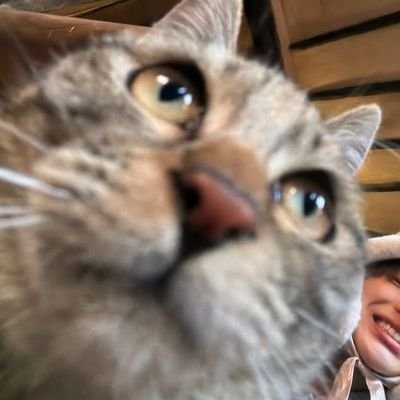kkkkkktbbi's profile picture