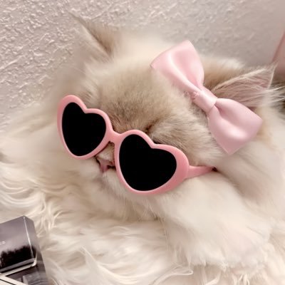 𝐏𝐞ꕥ𝐝𝐢𝐢𝕞𝐞𐒡 ˚。𐙚's profile picture