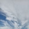 正義の砦's profile picture