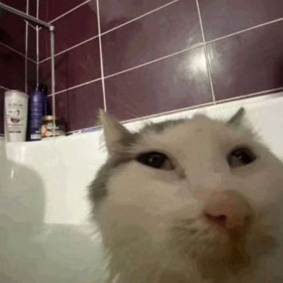terxible's profile picture
