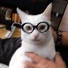 Profilbild von Ricky