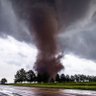 Tornado's profile picture