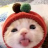 Profilbild von 琳