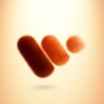 Whipcare's profile picture