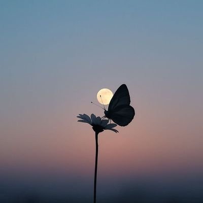 brainbloom✨✨'s profile picture