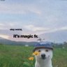 Profilbild von Meeko