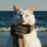Profilbild von iimmee