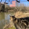 WeezerCat22's profile picture