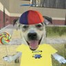 Ghost's profile picture