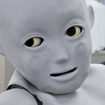 gorigorimarun's profile picture