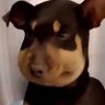 yayana🤎's profile picture