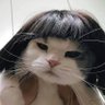 ya gimana 的头像