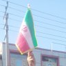 مهدی زین الدین's profile picture