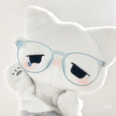 momocha1599214e's profile picture