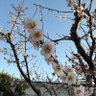 Фото профиля とある街の勤務医
