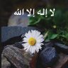 waleed's profile picture