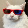 Profilbild von 3DJ