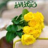 Ahmad Omar's profile picture