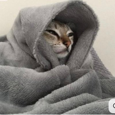 🇹🇩's profile picture