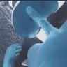 alexander's profile picture