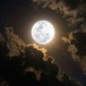 Oluwapelumi Lunar profil fotoğrafı