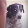 Reluctant's profile picture