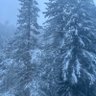 winteriscoming_90's profile picture