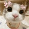 Lucy's profile picture