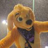 🏳️🌈 Doggett Douglas McDog 🏳️🌈's profile picture