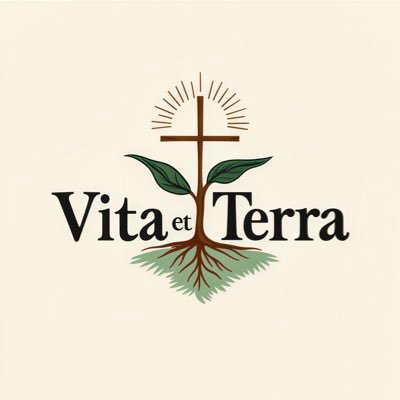 VitaetTerra's profile picture