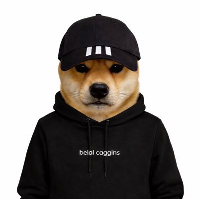 belalcaggins's profile picture