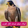 محمد صفر profil fotoğrafı