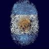 Profilbild von humanoides disidentes viven la alerta total